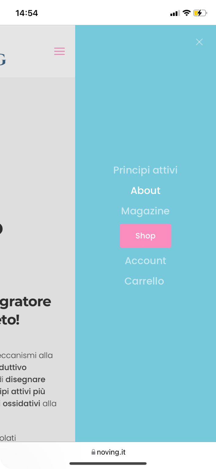 Mockup grafico versione mobile del menu di navigazione del sito noving.it