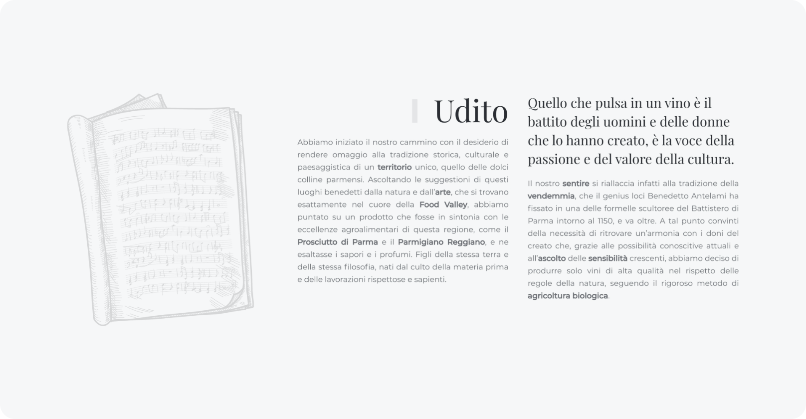 esempio di una pagina del sito web tenuteventurinifoschi.com con uno spartito illustrato
