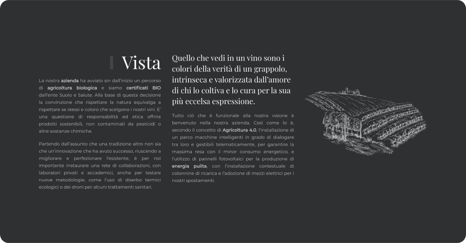 esempio pagina web del sito tenuteventurinifoschi.com con una vigna illustrata